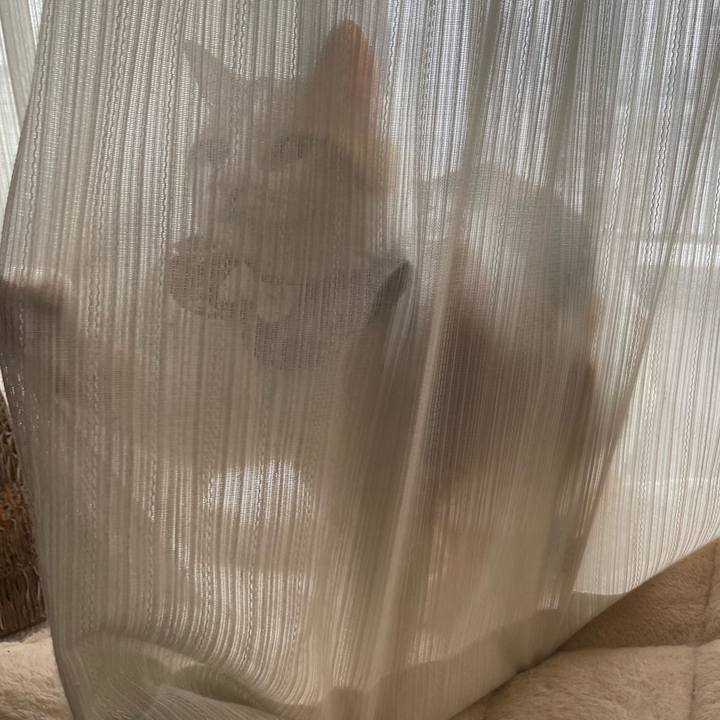 F4c0813e 9555 4fda b3c8 33b2c34e59ae 1747543316991