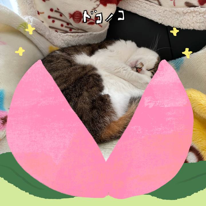 F4c08b16 a045 4556 ad1a ec6af11b6f62 1771930666411