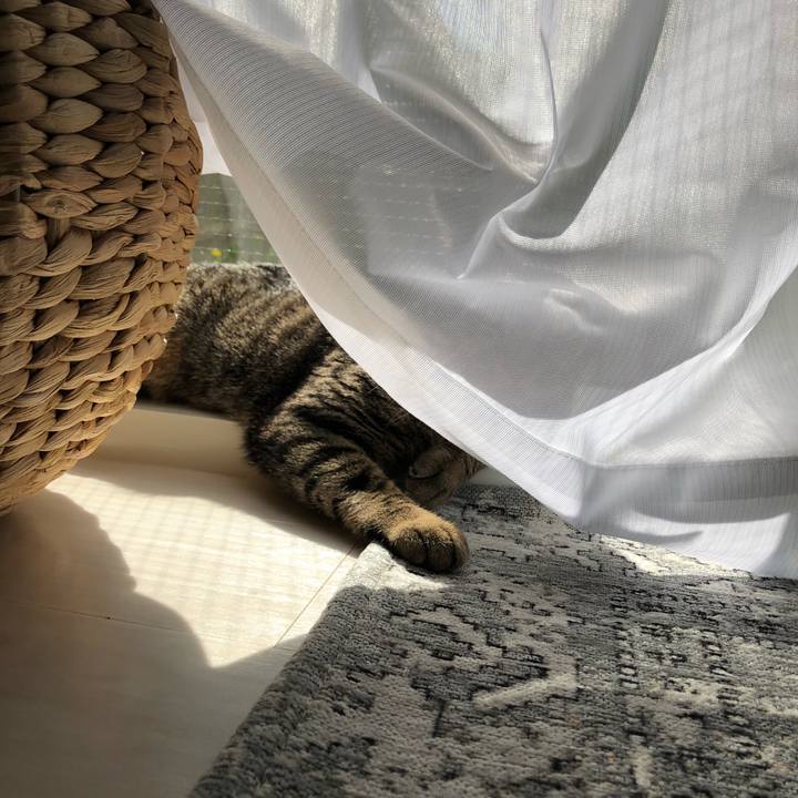 F4c0bd0e 679e 4c79 8b57 45b442e4d2fa 1523592065340