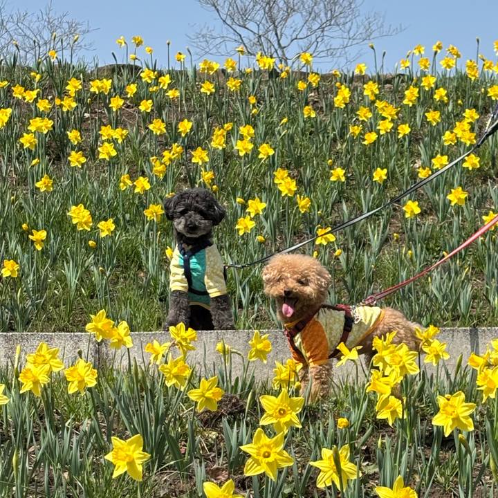 F4c13618 2f44 42e9 9d15 fc8cb3f7b1e7 1743309147289