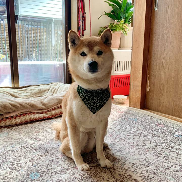 F4c14122 b02c 4b90 83ef a38ebfff3517 1647432011440