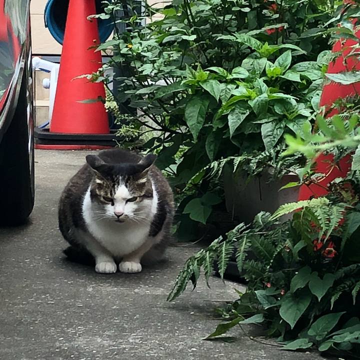 F4c190da 015b 4d41 82eb 189b0c118765 1529583991757