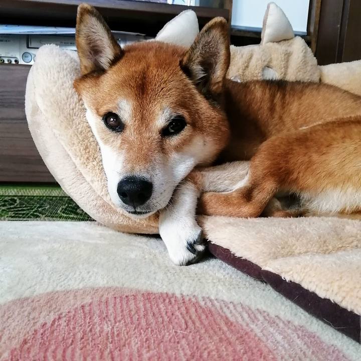 F4c1e899 bccc 499e bb26 ec88e8292bef 1634782695003