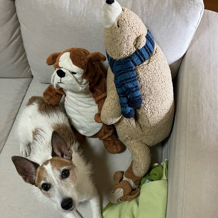 F4c20a89 b9dc 4dfa a20c 26107be9b4da 1693523900186