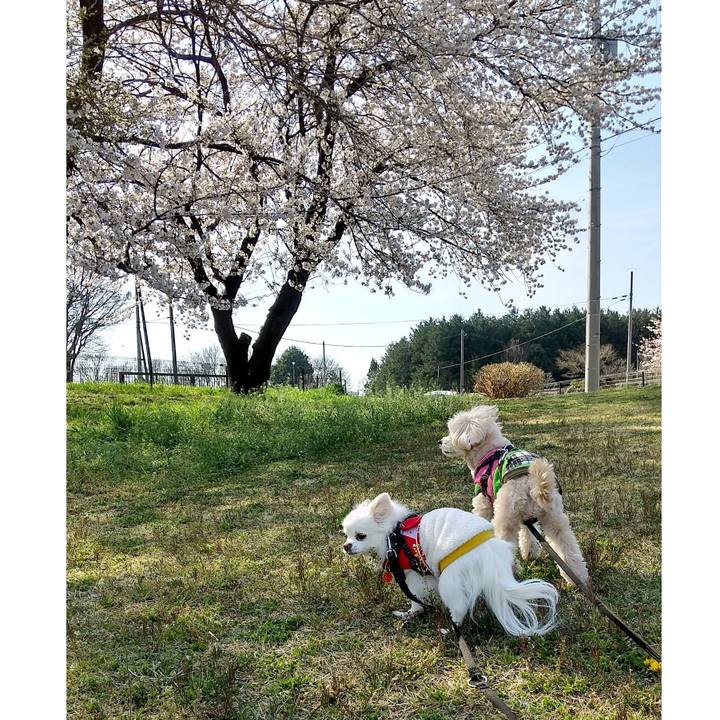 F4c23e49 f36a 4df0 87d2 cba352178c5b 1648932639584