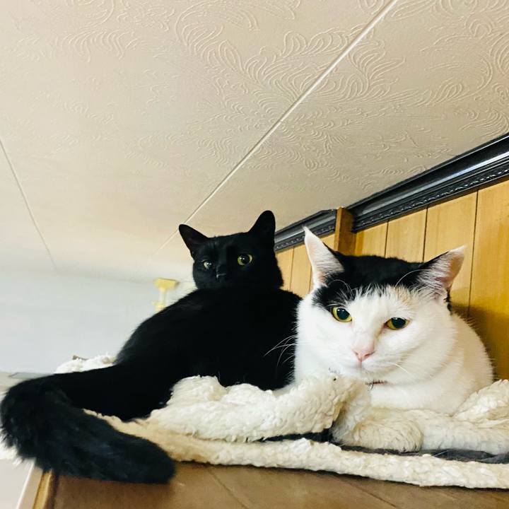 F4c2540b bed4 49de 9f74 79223a581ecb 1680705244054