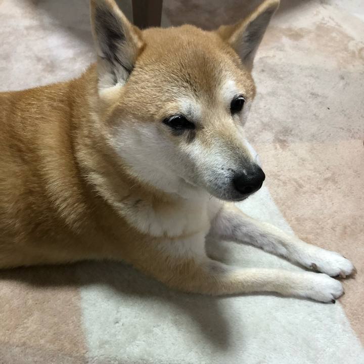 F4c256c4 3c03 43b0 adb0 96adf64613e7 1581773224935