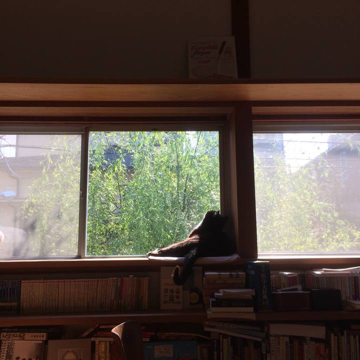 F4c287d0 69df 4d20 a774 d277bda1c846 1585957973824