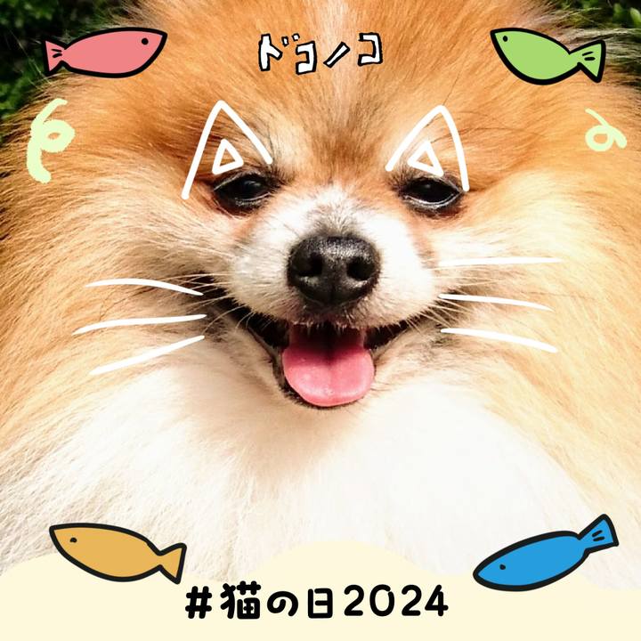 F4c2b48e 5c10 4715 9497 26de727f9204 1708528182991