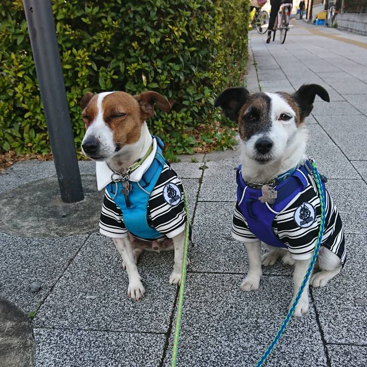 F4c2ed14 6eb7 44a2 9631 fd3b0af4982c 1613867124633