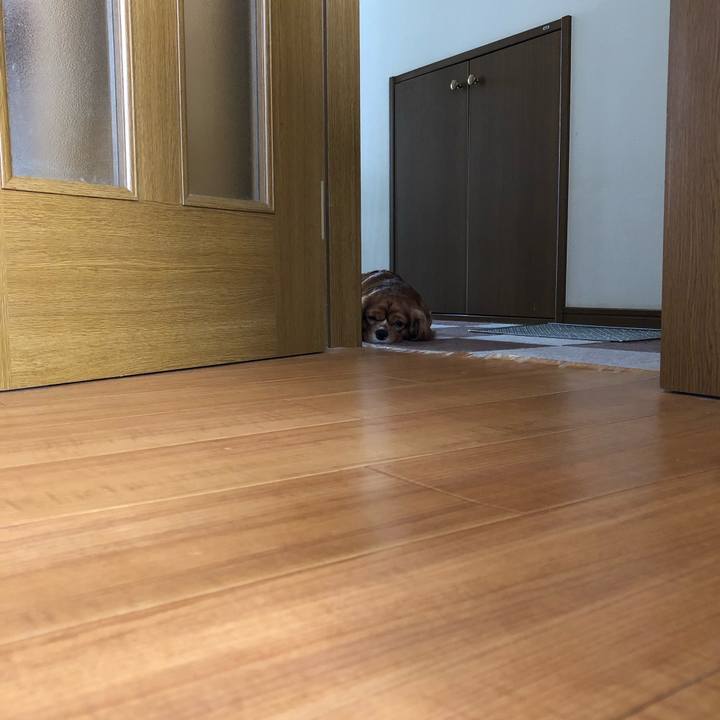 F4c2f73c 8e1e 484b ad9f 7bada68fcf93 1555803274549