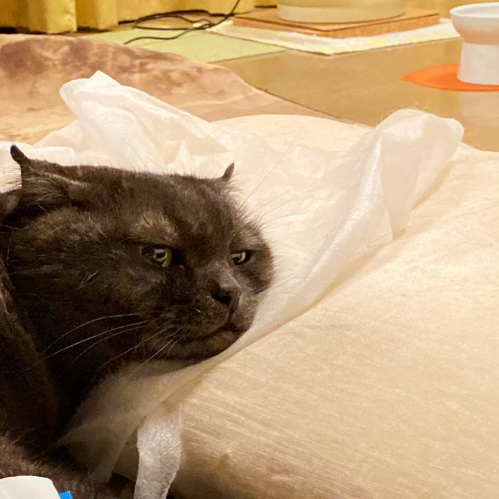 F4c34181 9dcc 40d6 94b2 6d3dfa15b655 1623774205042