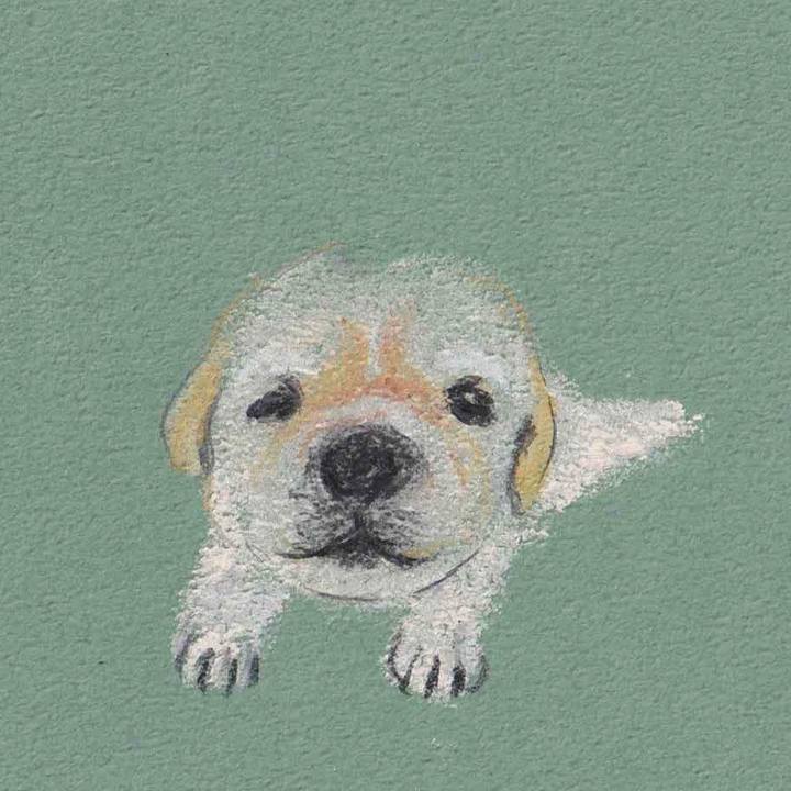 F4c36a58 12ce 4fe2 87fa d68af2655a47 1626827726974