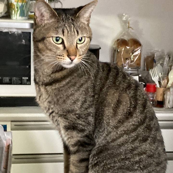 F4c3b3da 1019 4be5 a398 be924fab8f8a 1762814832709