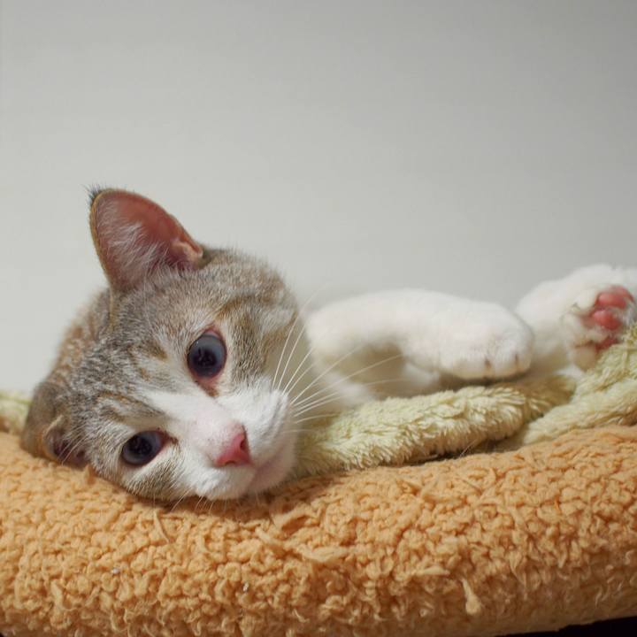 F4c3e388 20d6 4188 a676 1dc31ad0defd 1558746677500