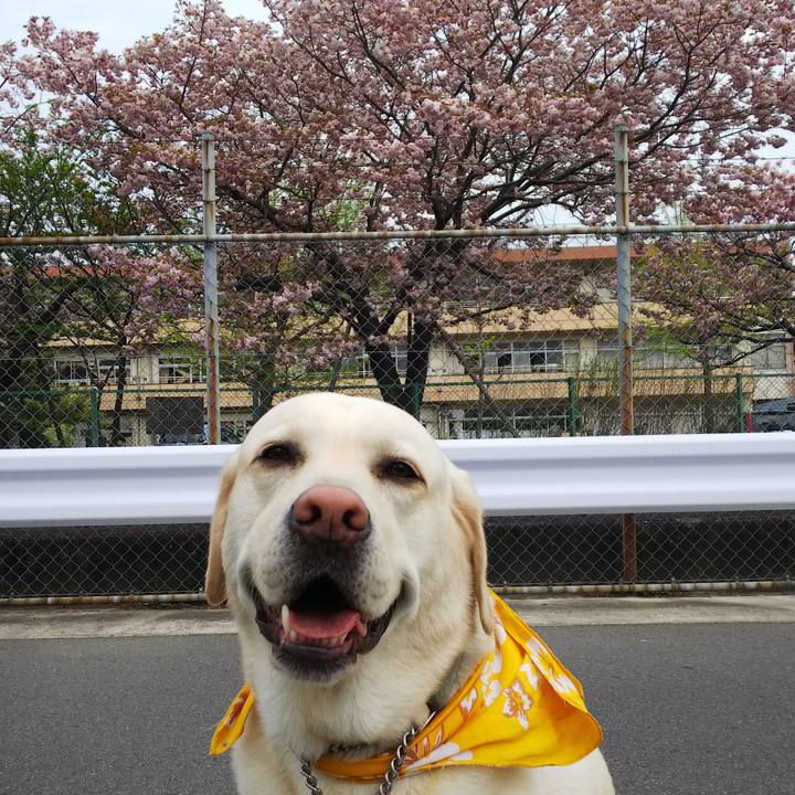 F4c3f83b ebf7 4e23 b697 4dcaafd848fd 1556106489119