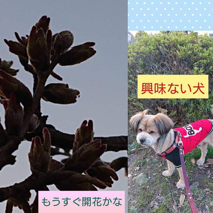 F4c41306 ee8d 4225 8001 24359ef6d739 1552730499702