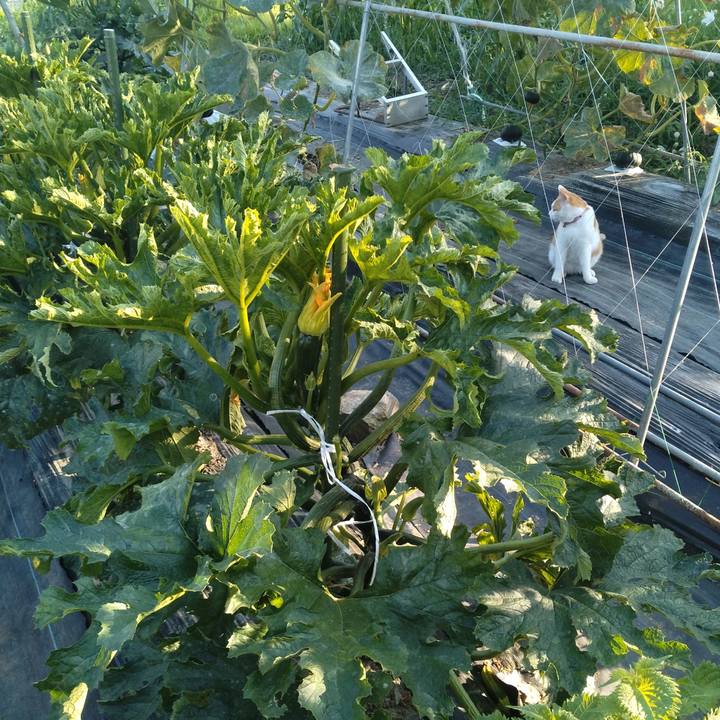 F4c417d8 dd3d 4170 a065 ad34ce14fc3f 1752398598494