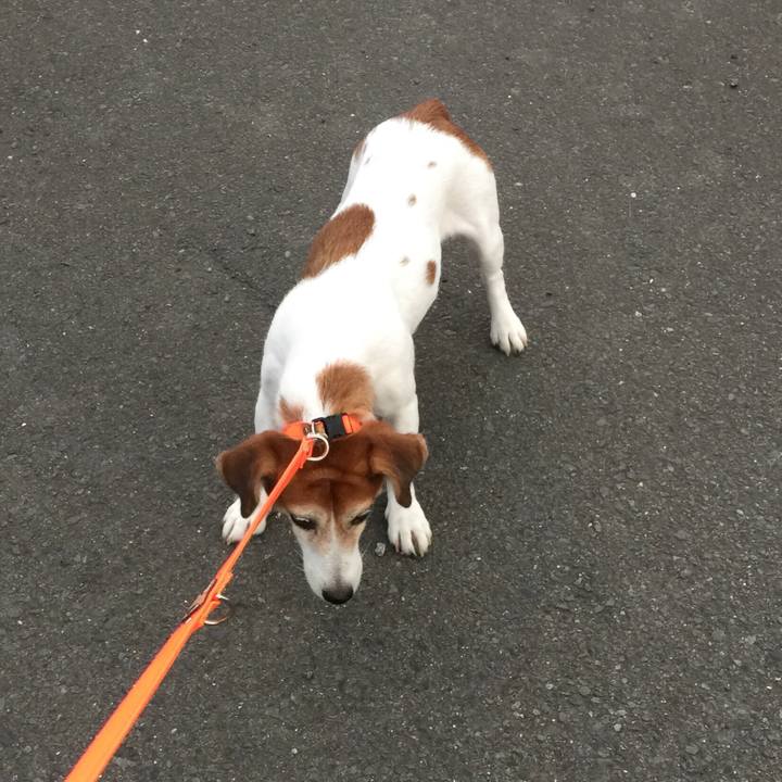 F4c435a1 8f99 4c19 95a3 672842b481f2 1534246579206