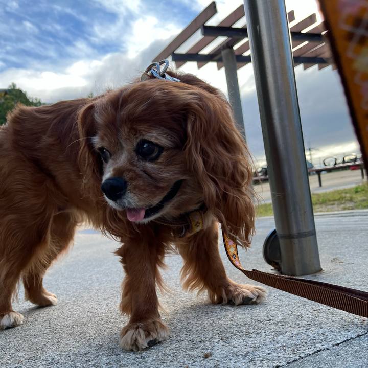 F4c45a78 f136 4220 bc9a b602204f70e4 1760316502264