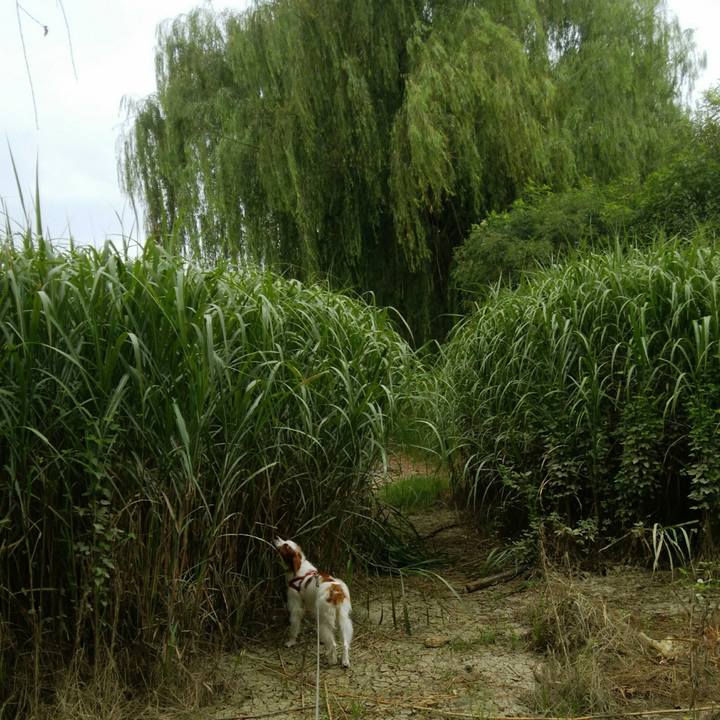 F4c4b8d3 5280 4d60 9038 7bf2e0f57a0f 1533775458922