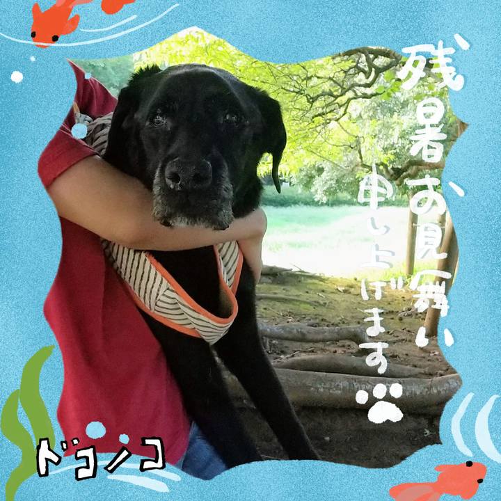 F4c500f1 aa3c 4fbd 83f5 8adfb855c50a 1723250322788