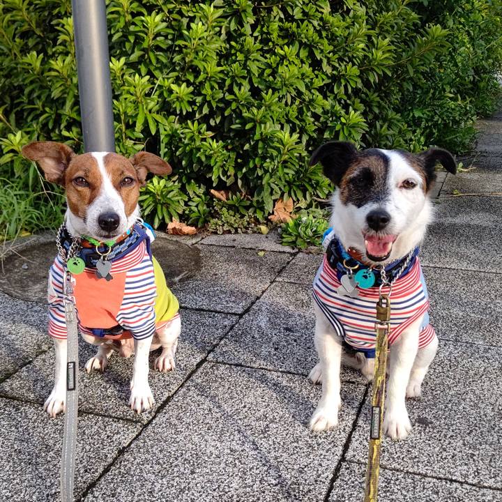 F4c50cb7 e697 4d18 9097 d606488a4c36 1629235779759