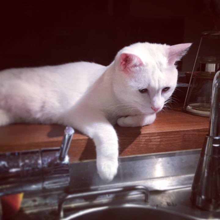 F4c539dc 2e06 44aa 91bb 30311ab74a37 1523538325065