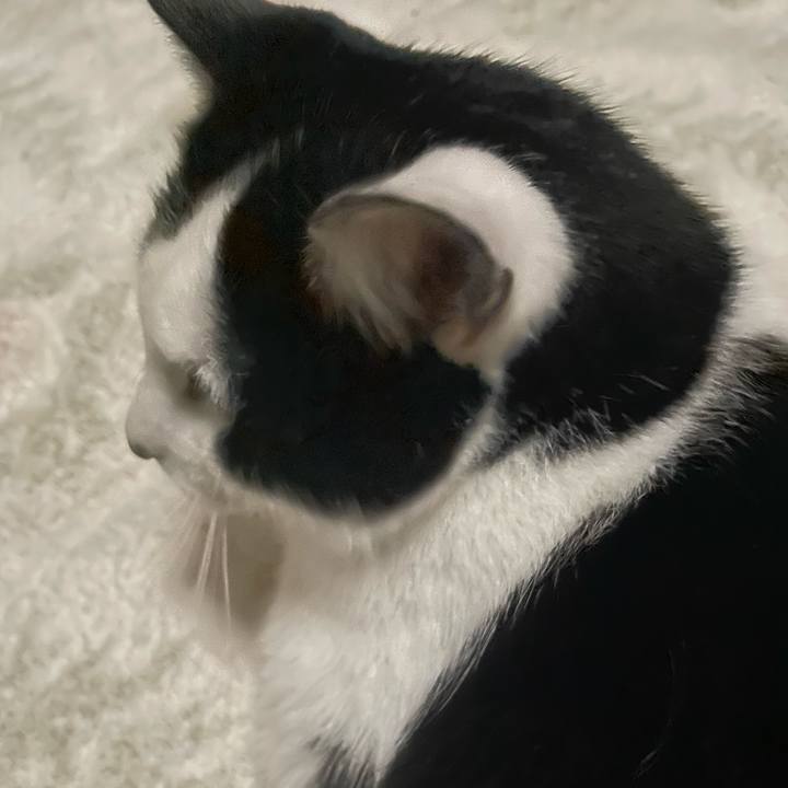 F4c5555c 14a1 4fe5 a913 00d10592179f 1665607263047