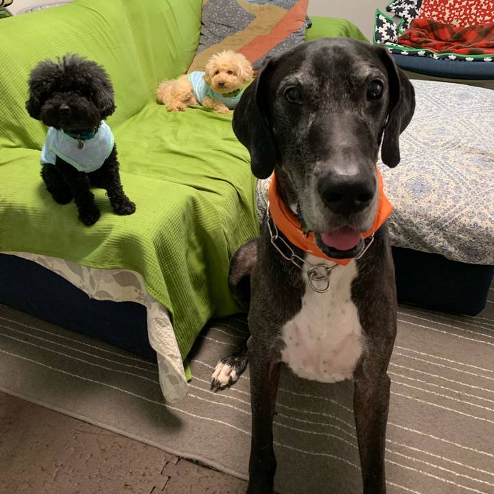 F4c56cea 7165 4963 a0b5 90a3f7c2a4ee 1564353751456