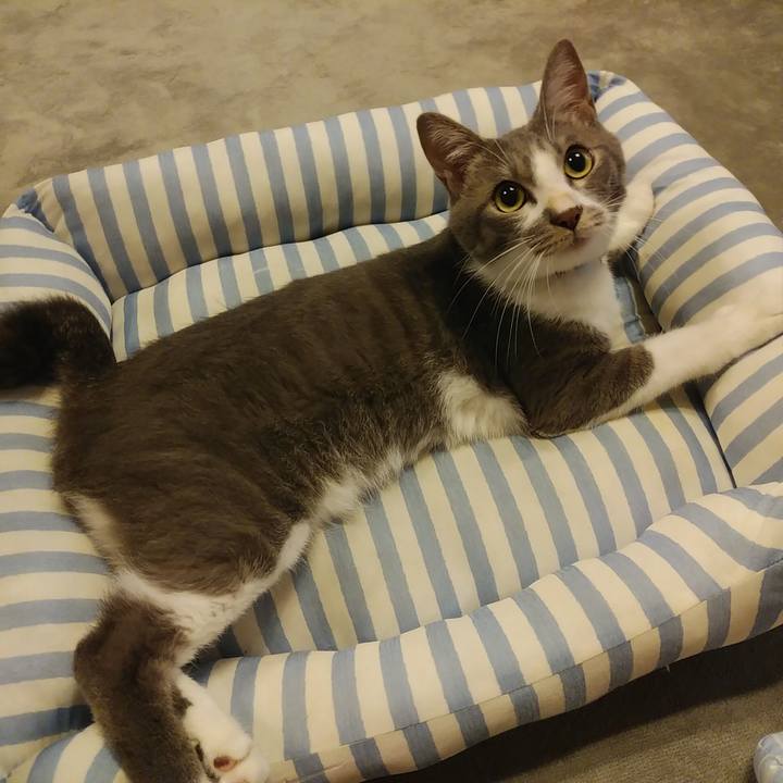 F4c58349 cca2 4f3a a40e 3553d27f939e 1594045555498