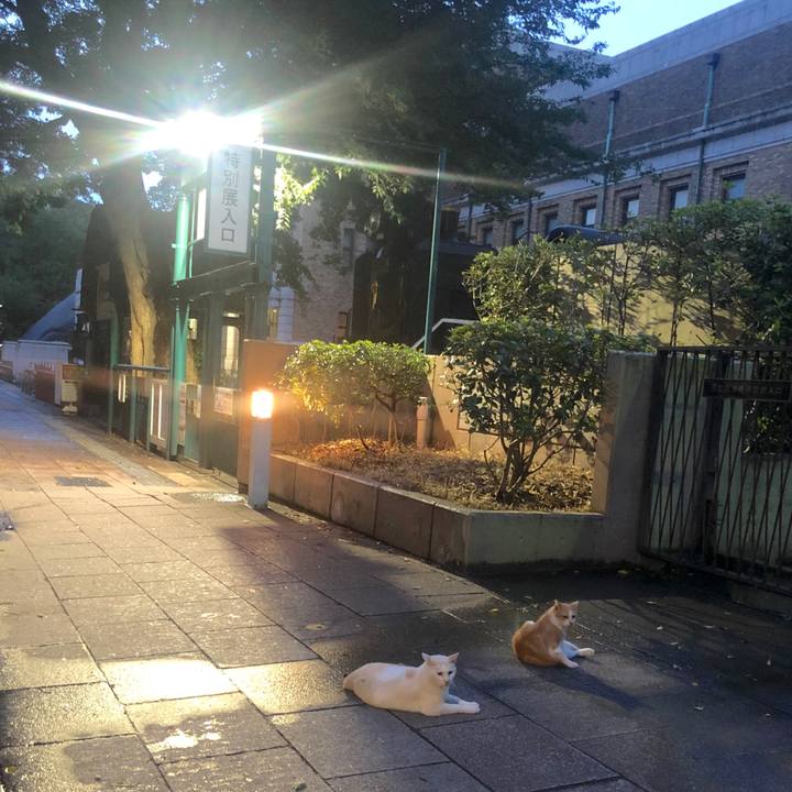 F4c5882d d49d 4f13 b7c1 c0c285f7f295 1565871104214