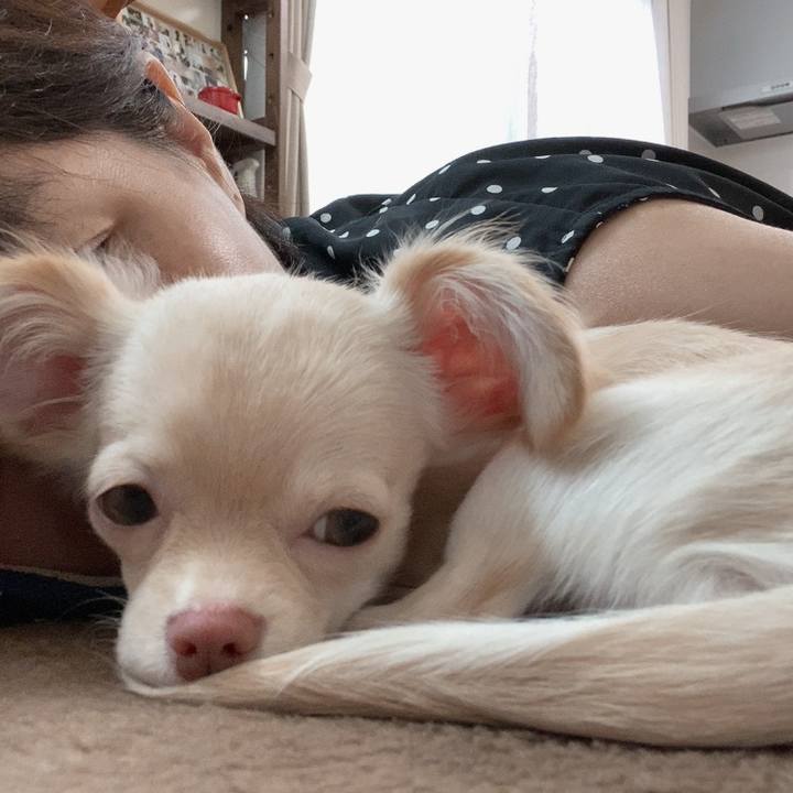 F4c59c51 1bbc 489a 859e c76a87963368 1593734279737