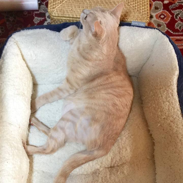 F4c5b5d5 99b9 459c 932e 6b846e25714c 1595198863900