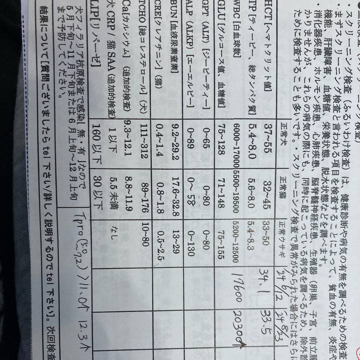 F4c5e1dd d970 4090 a98d 7b9701cf4ad1 1728202735697