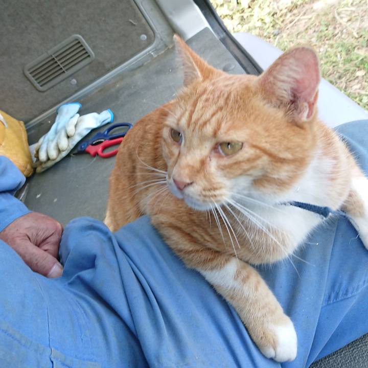 F4c5e2a0 dcf0 4b00 a467 565f6ac3e4a3 1600669247260