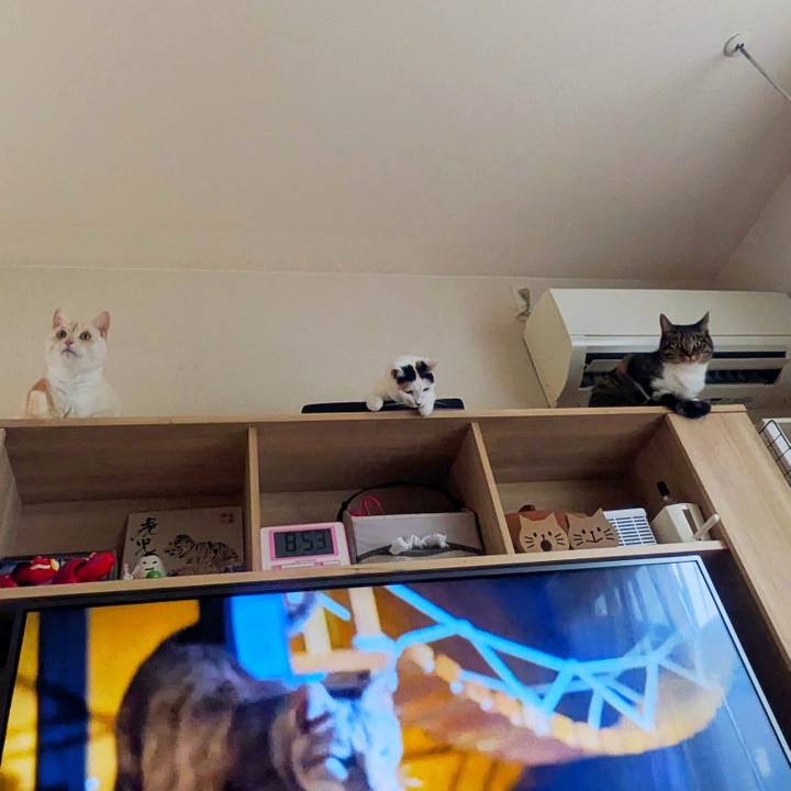 F4c61841 3e94 48de a0e6 69cc0ccc2b5d 1756857362087