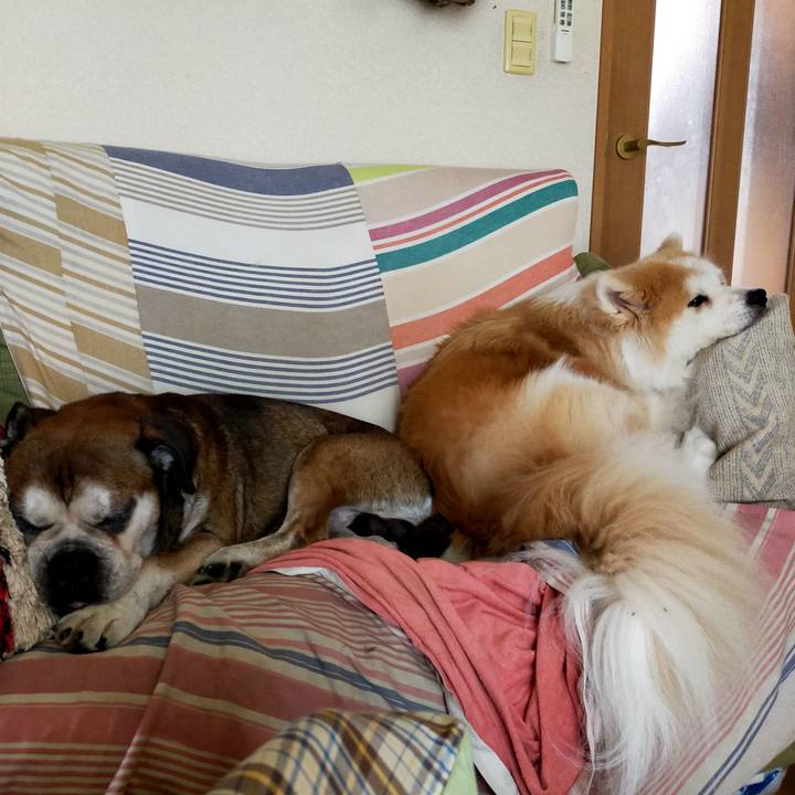 F4c64de0 8b31 486c b132 daaf159307bd 1692707582128