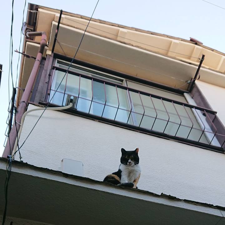 F4c68fb4 ba93 4622 9074 d466882b62ea 1575790987264