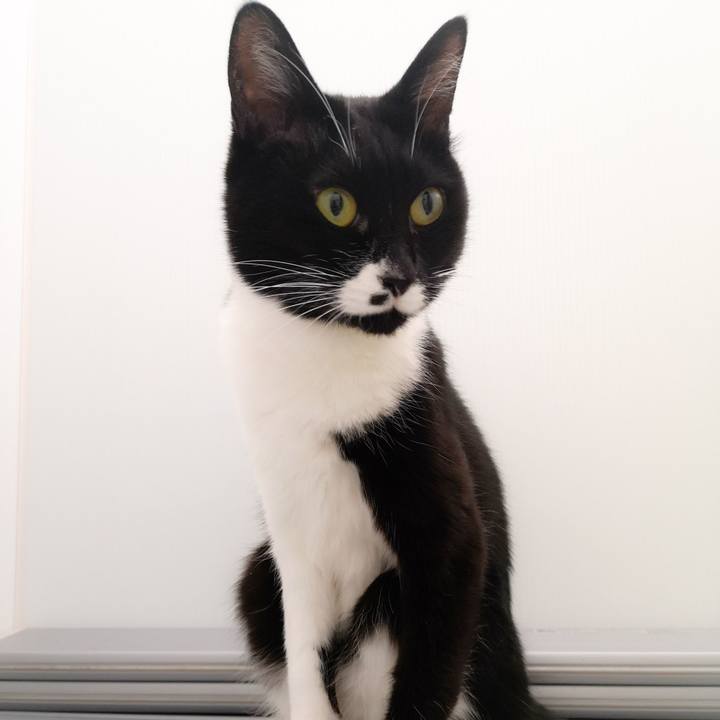 F4c6a971 6882 4bf0 9795 235a9ce8a438 1580491050061