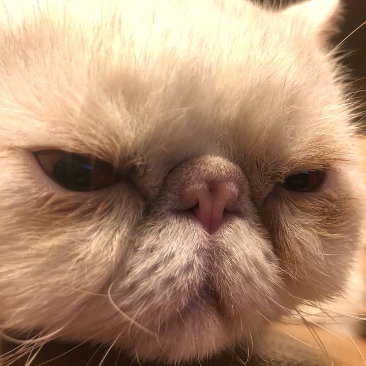 F4c6e1ed b18d 4797 be94 df342368e01f 1639476235847