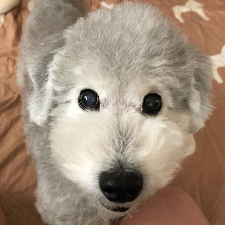 F4c6fe62 18e3 4247 be1b 5f8716d4e88f 1570767652715