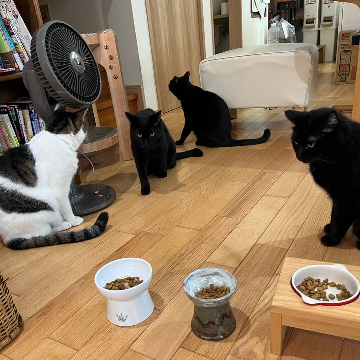 F4c77a8e 376d 43dc 9fab 73e63d39bc7c 1725533026622