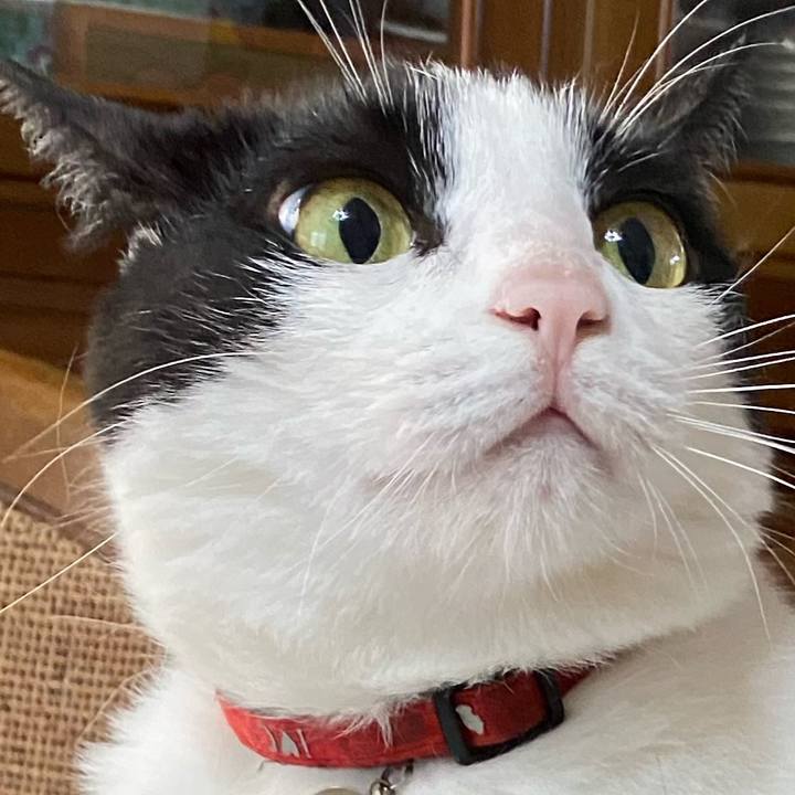 F4c78d9c c93d 430c b4c4 02803de53539 1601132077143