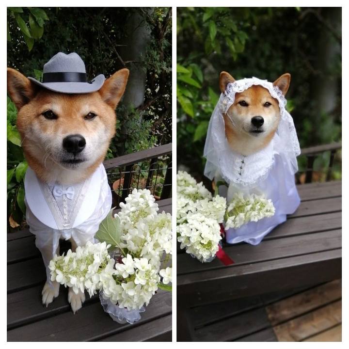 F4c7a5ea 7c72 46bf b33f b09061e0b211 1591591093054