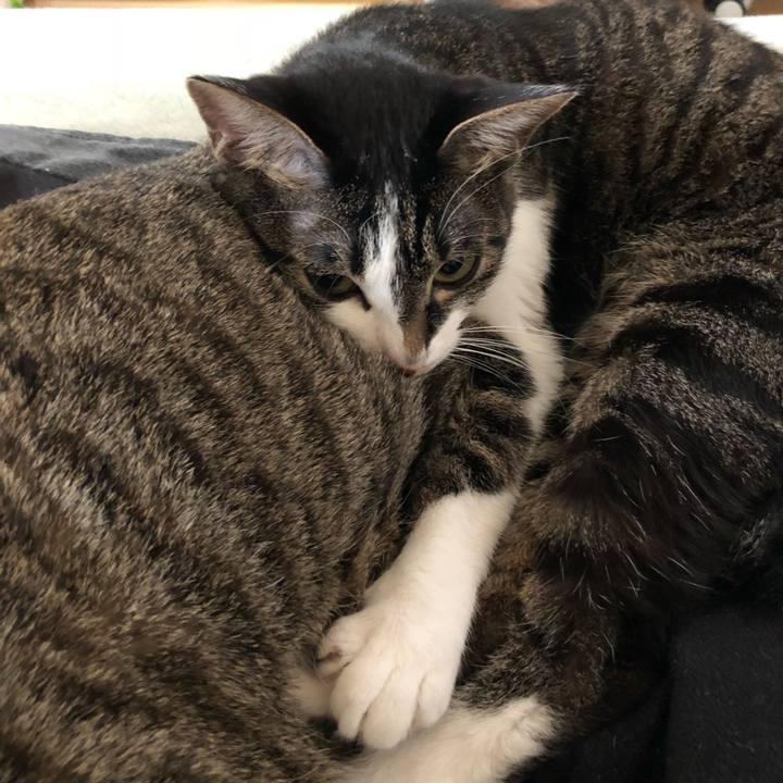 F4c7da69 3e83 42e7 9f80 b3a6f841cf90 1522713409125