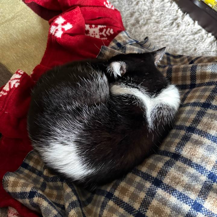 F4c7e4d3 bdd0 4f8b 9122 0f5fea4f7f01 1773040672637