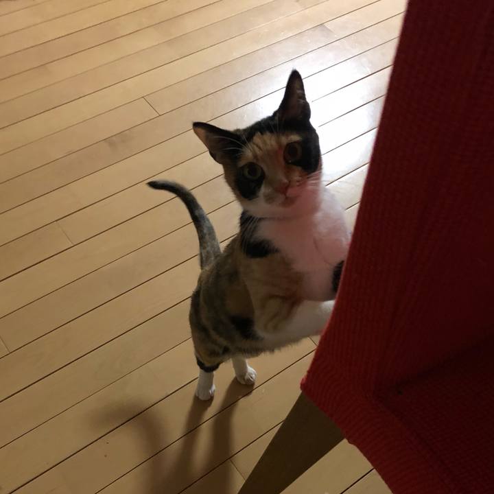 F4c81a80 8e61 4b8d a097 f37172f9ae24 1526813041684