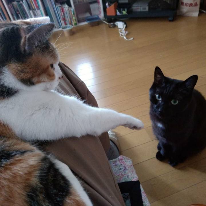 F4c82fae fef7 413f 8b53 8f87c1e0138c 1602761496238