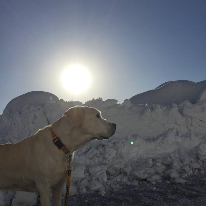 F4c877ca 21aa 404c 9e35 769b59e142ba 1518565342678